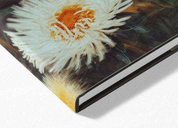 Hardcover met stofhoes